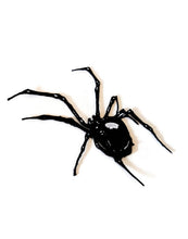 Load image into Gallery viewer, Spider patch, iron on patch,Goth Patch,