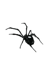 Load image into Gallery viewer, Spider patch, back patch , Large iron on patch