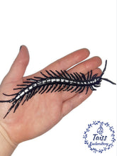 Load image into Gallery viewer, Centipede patch, embroidered iron on patch