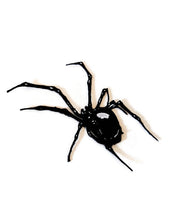 Load image into Gallery viewer, Spider patch, back patch , Large iron on patch,Goth Patch, Motorcycle Patches, Biker Patch, Jacket Patch,Halloween
